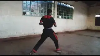 Basic form one kenpo karate