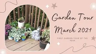 First Garden Tour of 2021- March - Lets make an oasis!