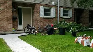 front garden makeover, start to finish.