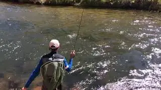 Dry fly fishing on the Fryingpan River, Colorado