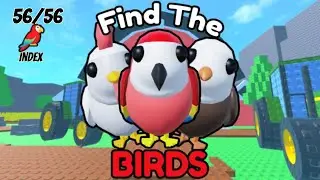 Find the Birds 🦜 How to Find All 56 Bird Location By 52 Cards #roblox