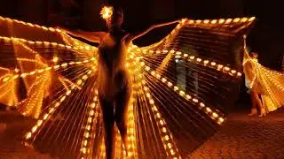 Led Wings Show in Gold, Live on stage/Wilhelmsh&ouml;he in Kassel