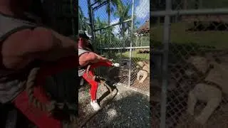 Bodybuilder VS Lion 😱 Who wins!? #shorts