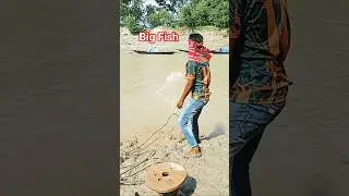 Pepe Bite Fishing &ndash; Big Fish Catching Adventure #fishing #viral #shorts #short #reels