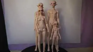 Feeple65 Male to Female Comparison ( featuring Minifee + Feeple60)