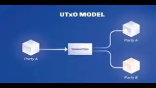 Building a Cardano Wallet from the Command Line: A Deep Dive into the UTXO Model