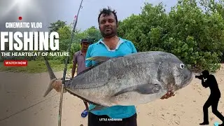 Tuna Fishing Trip (Day-3&4) #andaman 360