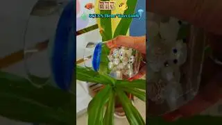 DIY 🕯️ Ocean 🪸 Theme Water Candle 🌊 বানালাম #watercandle #handmade #watercandlemaking #oceantheme