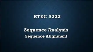 Sequence Types