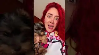 I don't know if I did wrong 😅😓 #entertainment #storytime #dog #fyp #humor #hellokitty #love #cont...