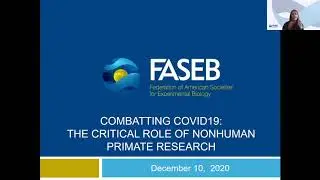 Combatting COVID-19: The Critical Role of Nonhuman Primate Research