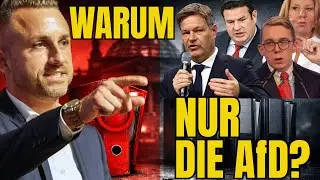 Vetternwirtschaft in Deutschland AfD im Fokus &ndash; Altparteien im Schatten