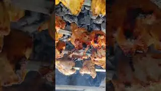 BBQ Party At Mangla Dam | Easy BBQ Grilled Chicken