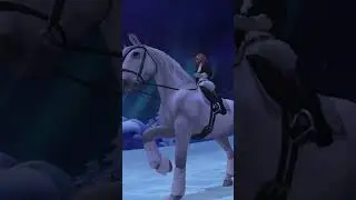 Schaffen wir es das #SsoSisters Kommentieren? #SsoSisters #fyp #Starstable #schaffenwir? #Sso
