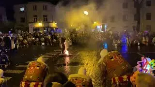 Carnaval Halle 2024