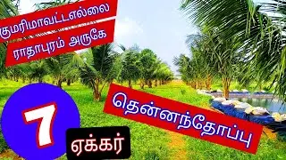 குமரிஎல்லை ராதாபுரம் அருகே 7 ஏக்கர் தென்னந்தோப்பு -2375-027.01.07