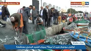 ميناء سلقطة : تواصل موسم صيد الـ