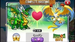 Dragon City: High Resolution Dragon vs High Spirits Dragon [EXCLUSIVE BREEDING]