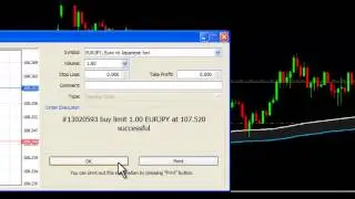 How to use different order types in MetaTrader 4 MT4