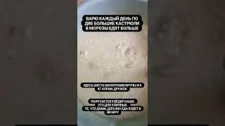 Наши будни.