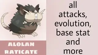 alolan raticate information| hindi channel
