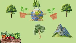 🌱 Study Vlog | Chloroplast & Pollution | How Plants Protect the Earth | #sciencestudy  #Chloroplast