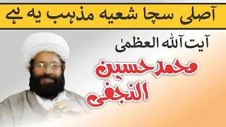 Ayatullah Allama Muhammad Hussain Najfi | آصلی سچا شعیہ مذہب یہ ہے | By Hadi Five