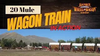 20 Mule Wagon Train in Action | Historic Ore Wagons that Hansen Wheel & Wagon Shop Helps to Maintain