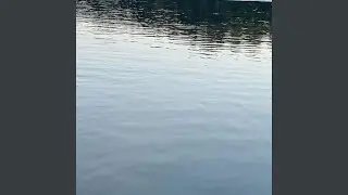 Out of Touch