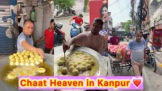 Chaat Heaven in Kanpur 😍❤️ | Famous Gopal Chaat | Tikki, Golgappe & Basket Chaat 🤩🔥