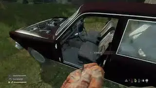 Live Dayz!