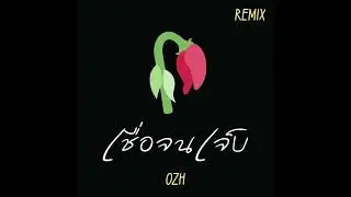 เชื่อจนเจ็บ - OZH  [ Special Remix version ]
