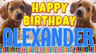Happy Birthday Alexander! ( Funny Talking Dogs ) What Is Free On My Birthday
