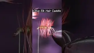 Fly Tying the Olive Elk Hair Caddis | Fly tying tutorial #flytying #tutorial #flyfishing #dryfly