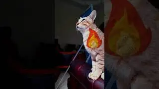 My cat trash talk n ready for war 😾😹😹😹 #catvideos #funnycats #shorts