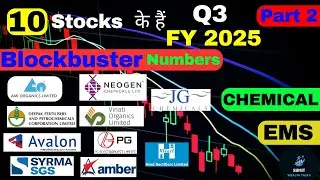 Massive Profits! Blockbuster Q3 FY25 Results Breakdown! Chemical & EMS Sector