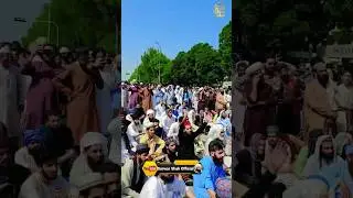 Supreme court of Pakistan🔥🔴🥷 Latest Update TLP #tlp #shorts #new #saadrizvi #youtubeshorts