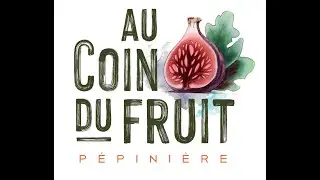 La Quetsche d'Alsace Tr&eacute;sor du Terroir, R&eacute;silience et H&eacute;ritage Culinaire