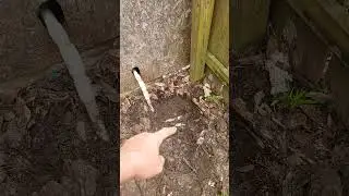 Water Well Buried in yard for 25 years Found