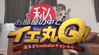 【緊急告知】愛犬コーギーの新グッズが届いたので開封します【シークレット】