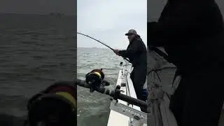 Johnny catching a white Sturgeon in the Sacramento River, Pittsburg, CA. 