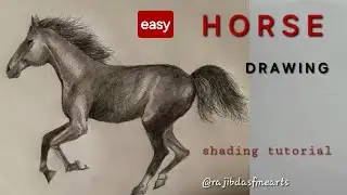 Master your Horse Drawing Skill | Shading Drawing 
