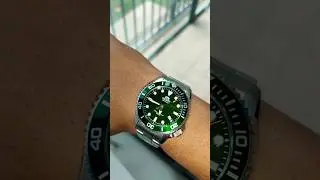 orient baby triton 🌊🇯🇵🌊