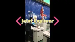 Human Joint Explorer | Discover Six Types via Dynamic Models & Specimen Comparison