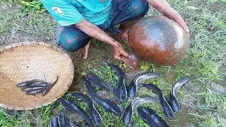 Believe This Fishing ? Catching Lot of Catfish Using Big Clay Pot | Very Unusual Fishing