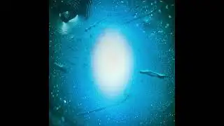 CrystaLucifer - Signal
