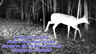 A Week of Activity from a Trail Cam in Iowa, 1/3/2026 to 1/10/2026, GardePro E8 20 Pro Field Test