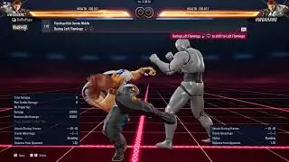 110. Flamingo Kick Combo Middle