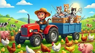 Baby Monkey and Fat Cat Go Fishing on the Farm in a Cute and Funny Adventure