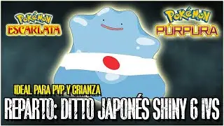 🌟&Uacute;LTIMO REPARTO DE: DITTO SHINY JAPON&Eacute;S 6 IVS PARA PVP O CRIANZA 100% LEGAL l ESCARLATA y PURPURA🌟